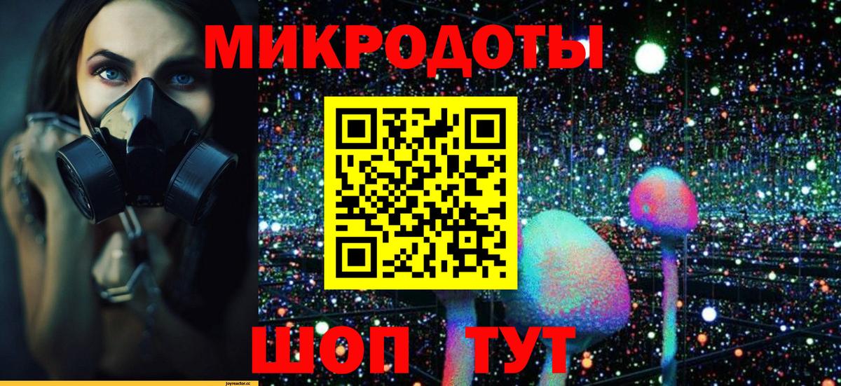 как найти   Вход с VPN  Старая Купавна  Галлюциногенные грибы GOLDEN TEACHER 